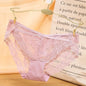 Low Waist Sexy Lace Women's Panties